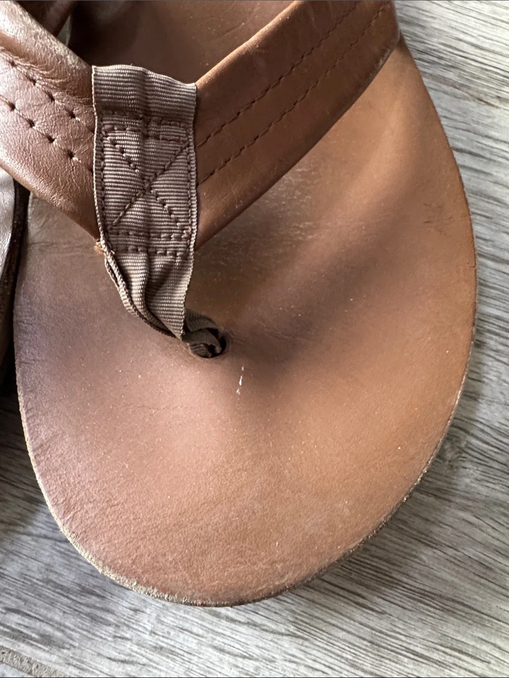 Rainbow classic brown